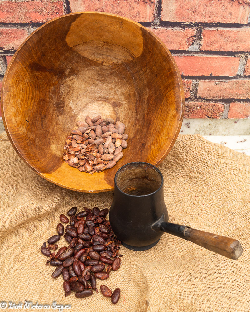 Granos de cacao tostado