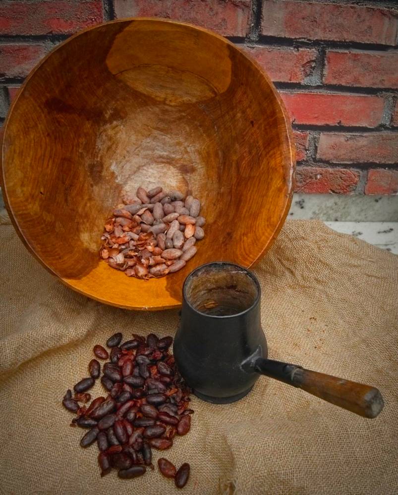 Granos de cacao tostado