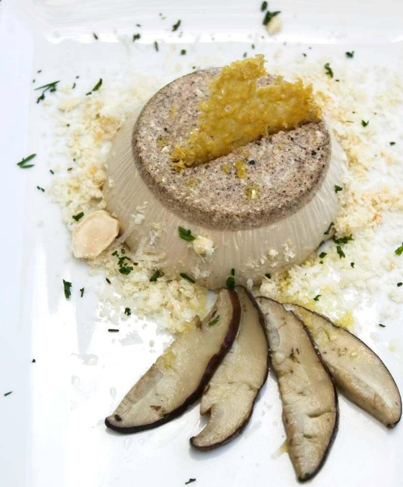 Panacota de hongos